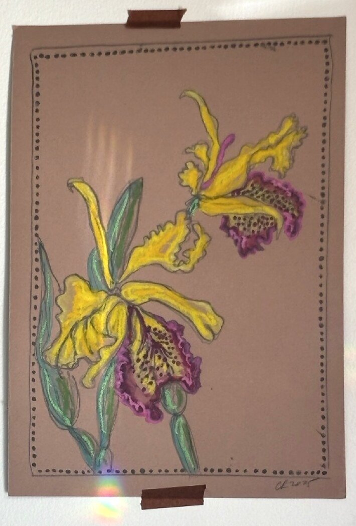 Orquídea amarilla: dibujo botánico en marcador y óleo pastel sobre papel kraft