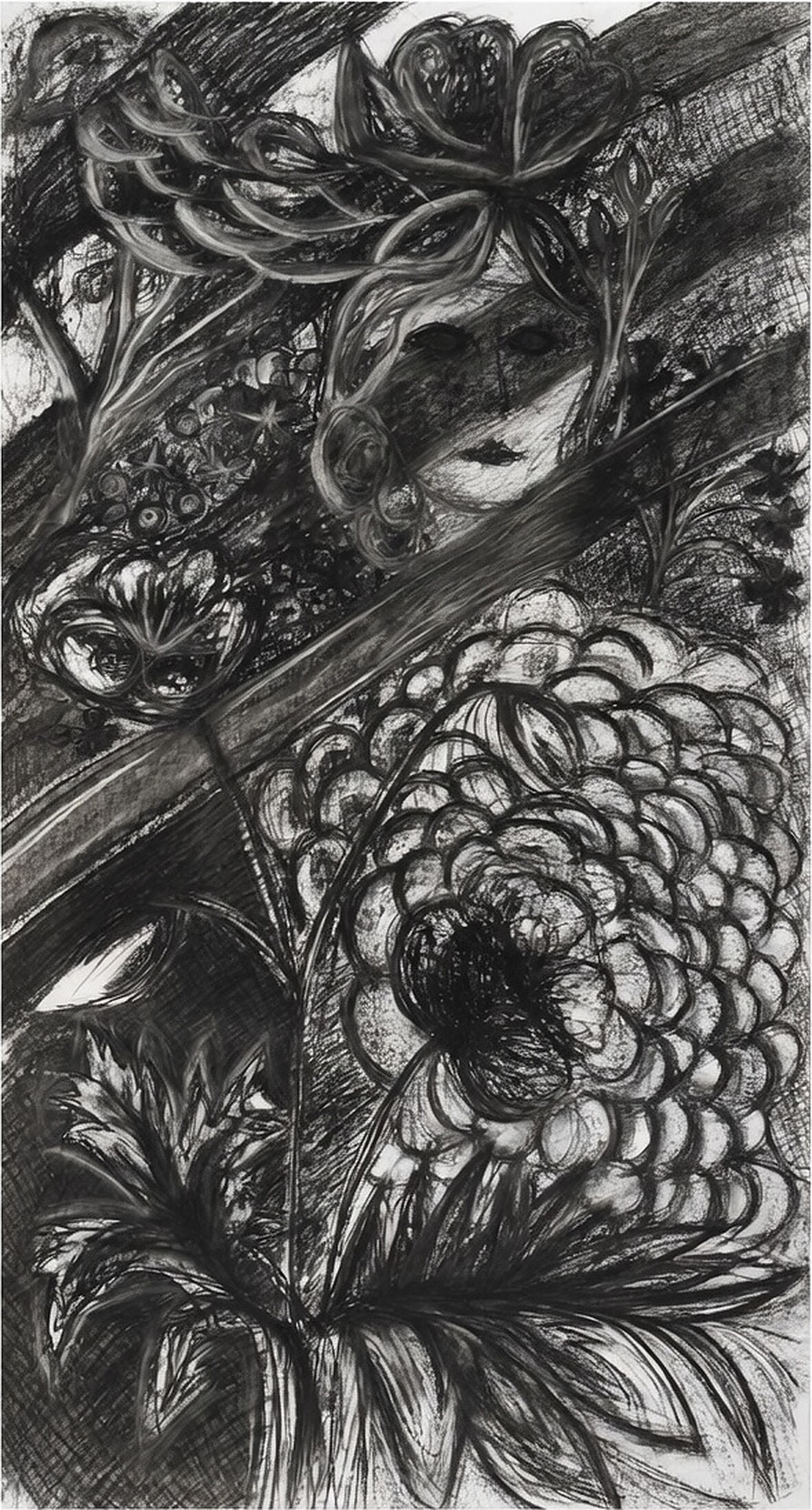 Obra principal de Fantasmafiore: rostro y gran flor en grafito y carboncillo, trazo detallado en blanco y negro