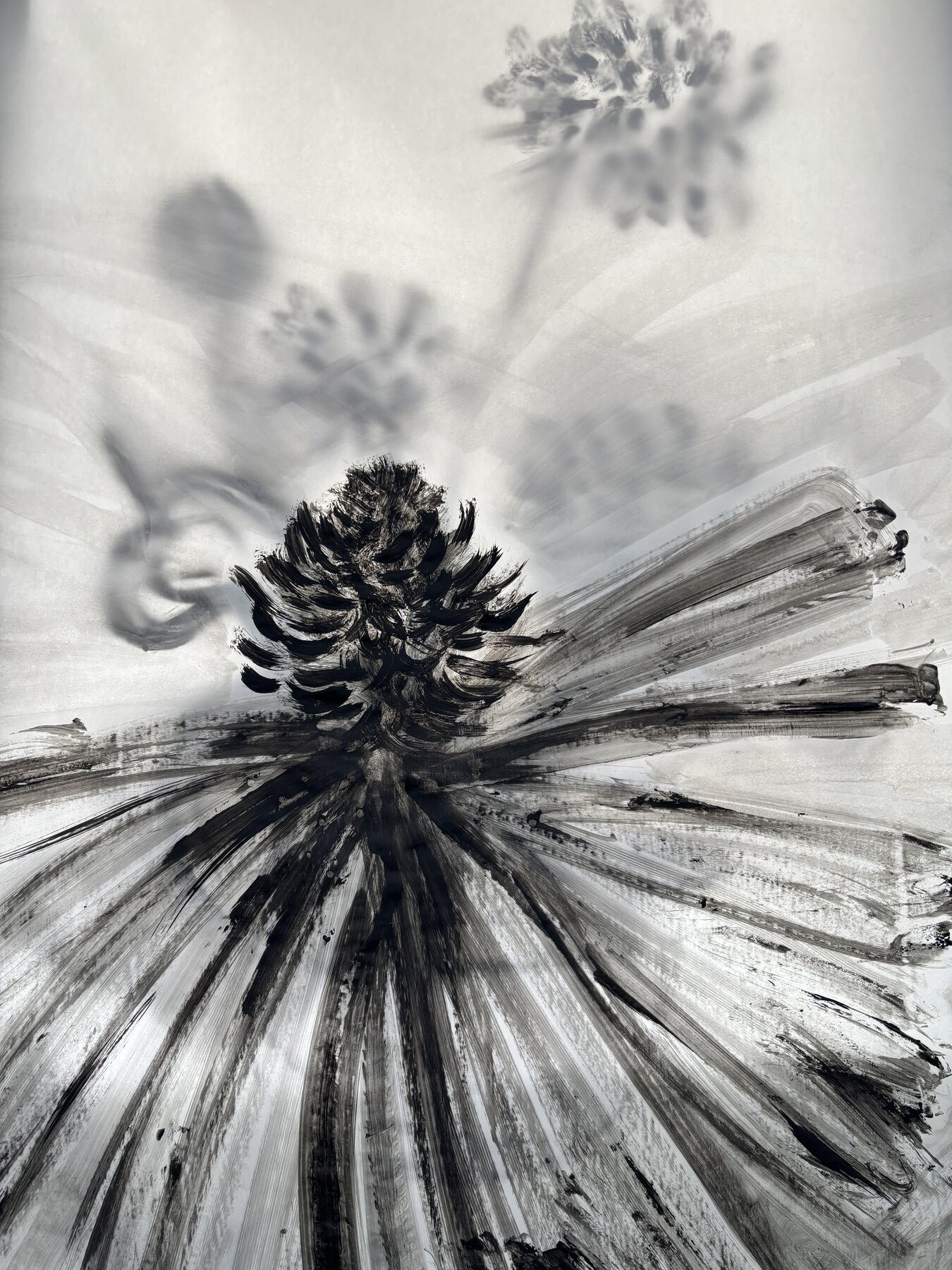 Estudio botánico en tinta negra sobre papel, con sombras de flores silvestres